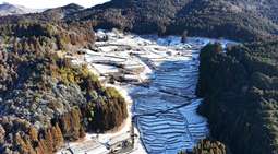 冬の大栗安の棚田の風景